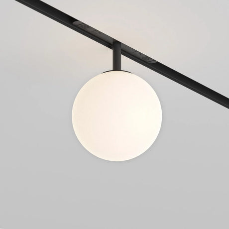 A modern spherical ceiling light with a frosted white globe hangs from a black metal track against a pale gray ceiling.
