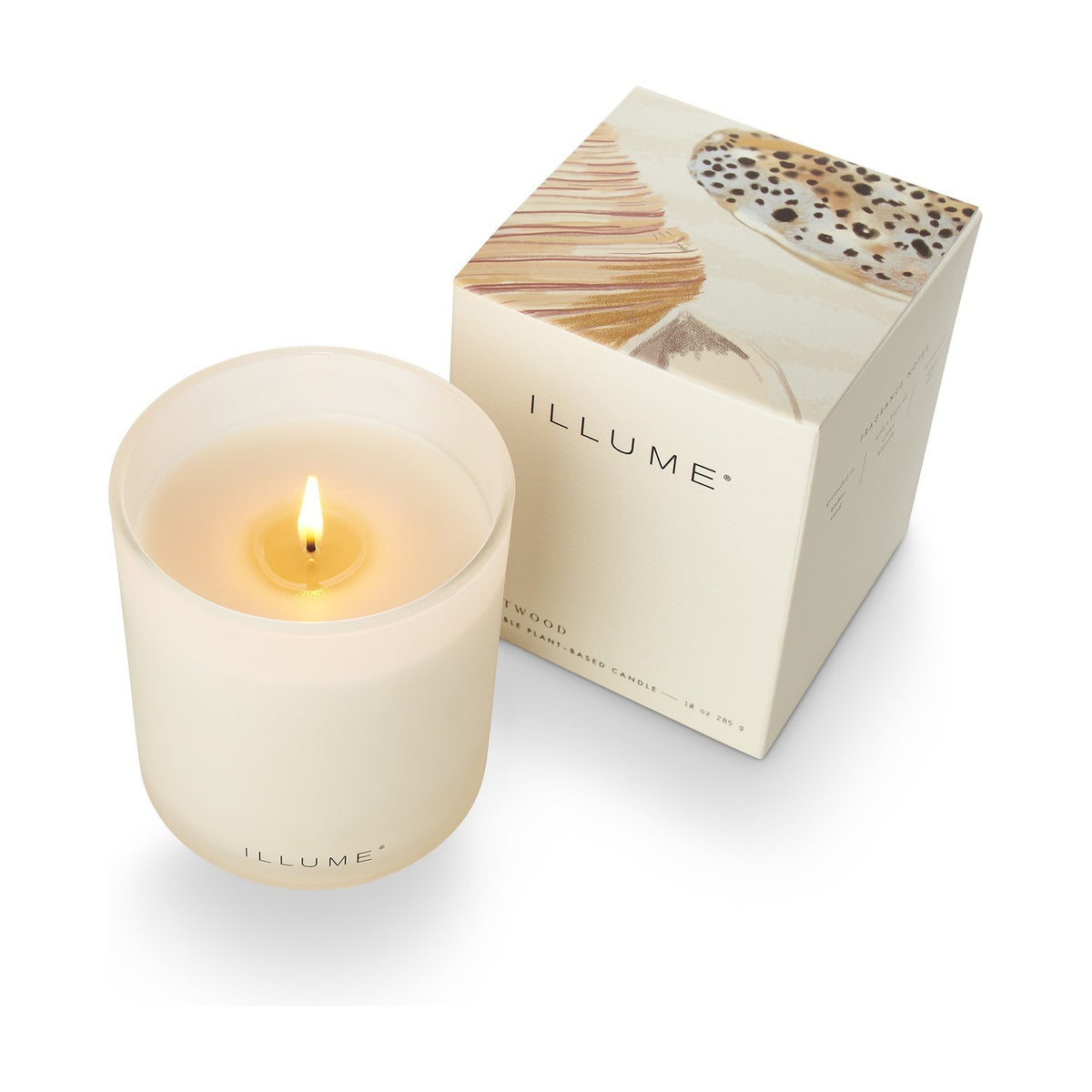 Driftwood Boxed Glass Scented Candle