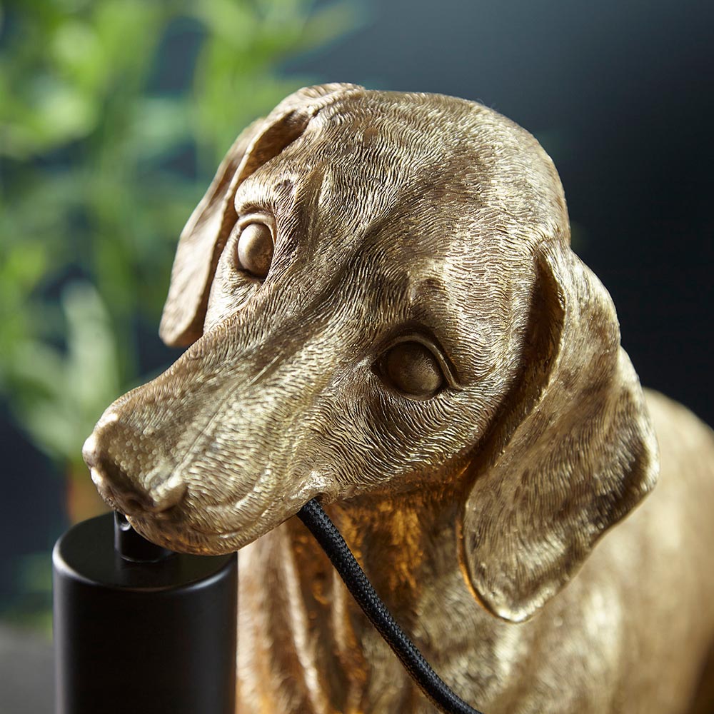 Bevworth Table Lamp close-up showing a gold resin dachshund head with textured fur detail and matt black lamp holder, set against a blurred green backdrop.