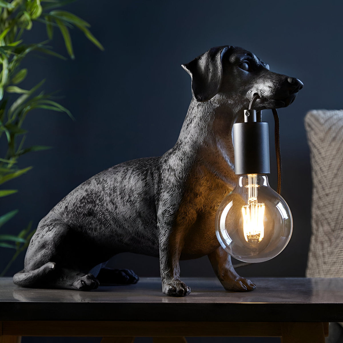 Bevworth Table Lamp in Black: a resin dachshund figure holding an E27 filament bulb in its mouth, sitting on a dark tabletop.