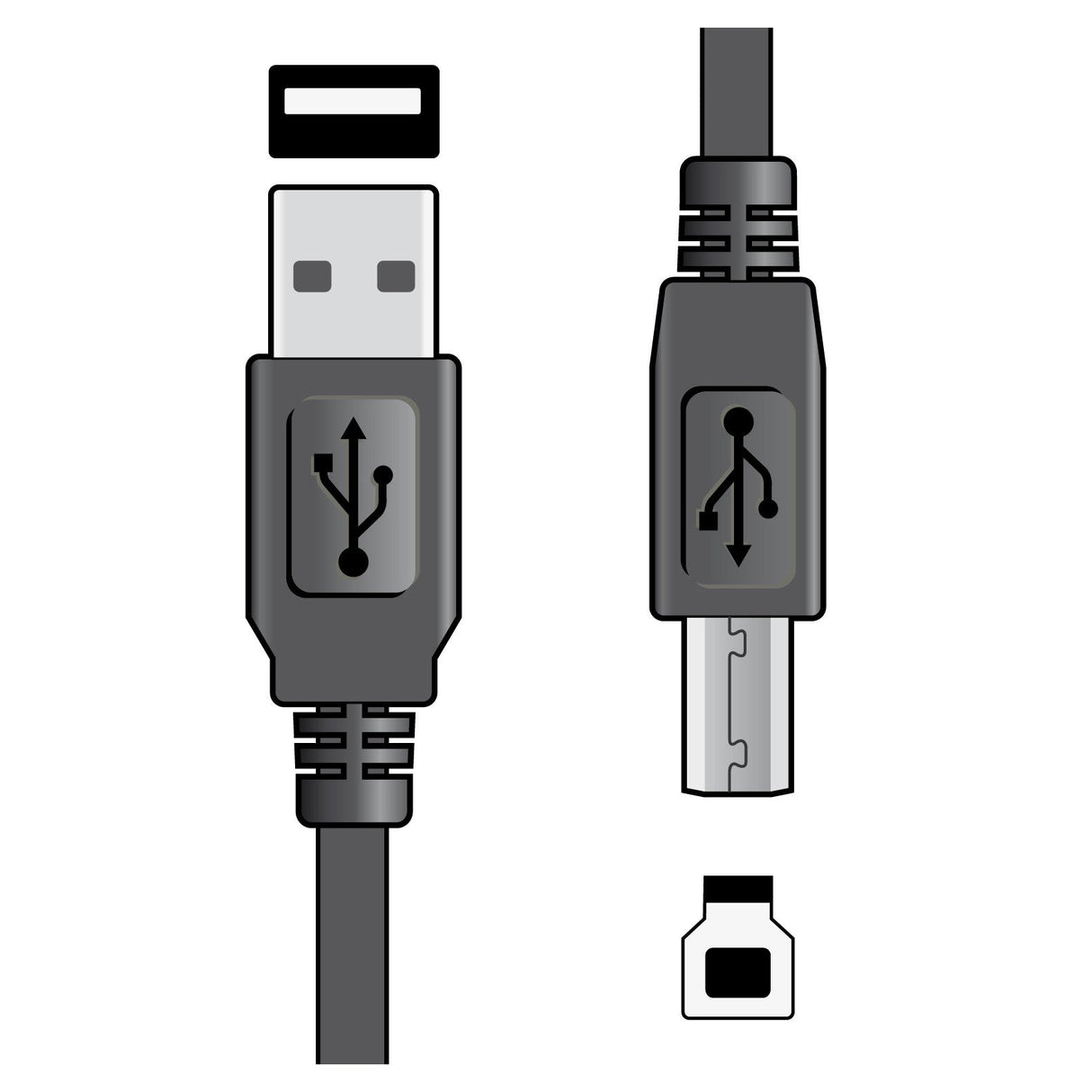 Illustration of two different USB cables. The left cable, suitable for audio devices, includes a standard USB Type-A connector, while the right cable, ideal for printer connection, features a USB Type-B connector. Each connector prominently showcases the USB logo. The depicted cables are AV:Link USB 2.0 Type A Plug To Type B Plug Lead - 1.5m in length.