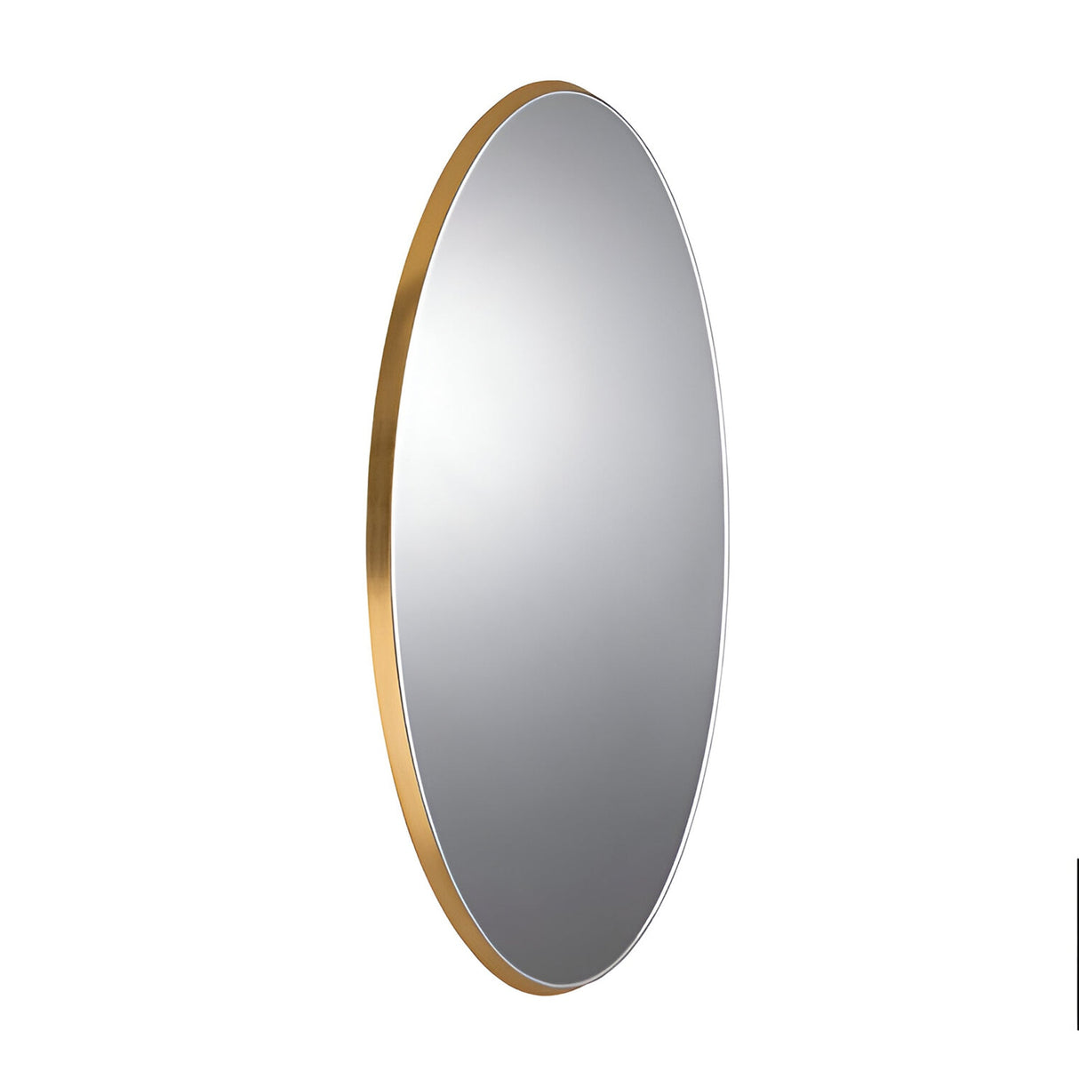 Aries Oval Wall Mirror Gold – 173x83cm