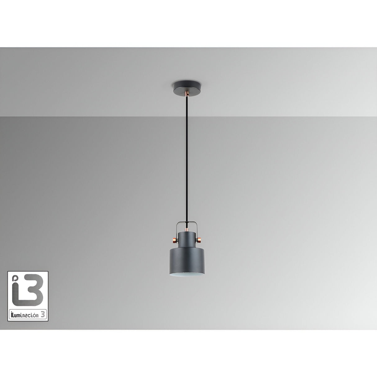 Erika 1 Light Pendant - Matte Black/Satin Copper