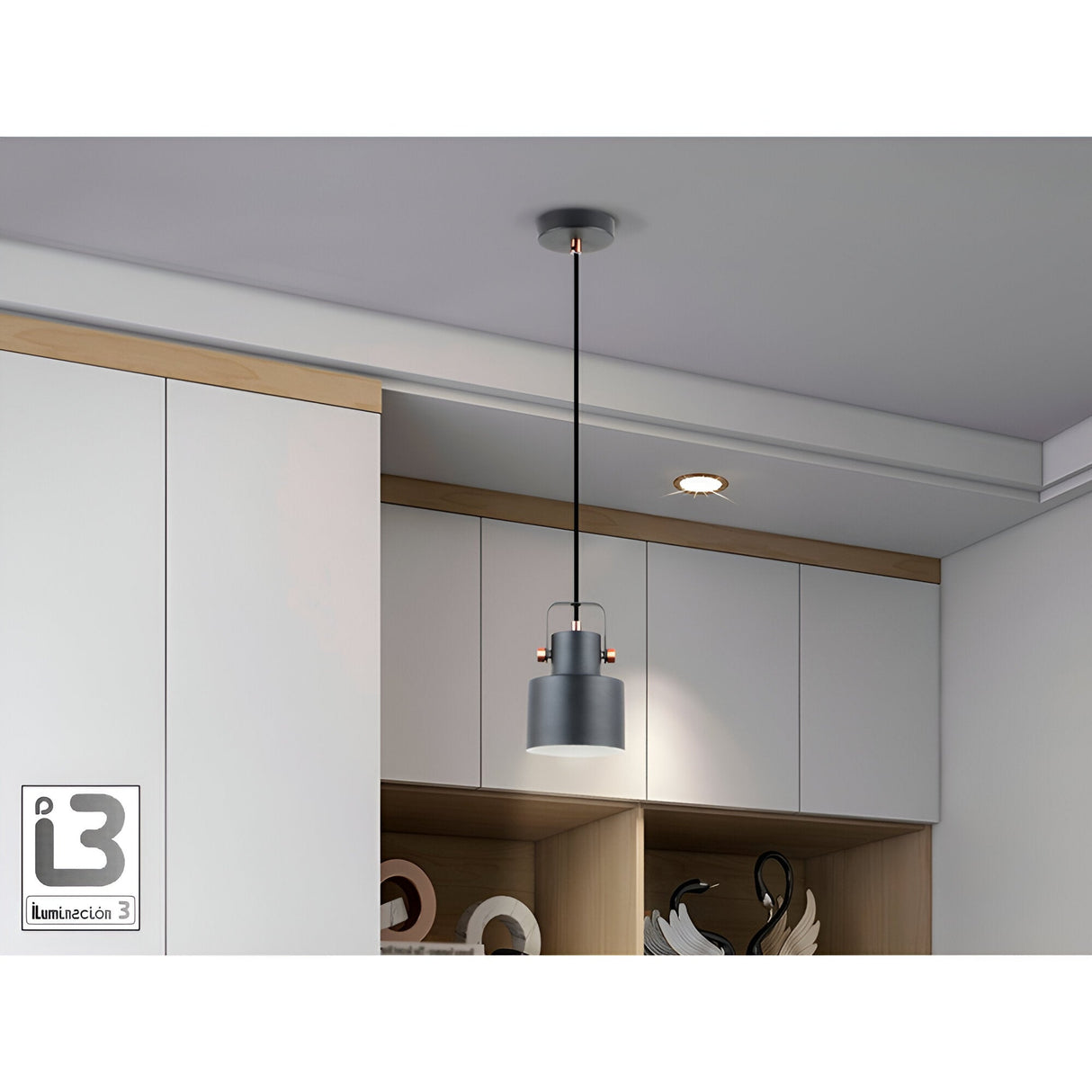 Erika 1 Light Pendant - Matte Black/Satin Copper