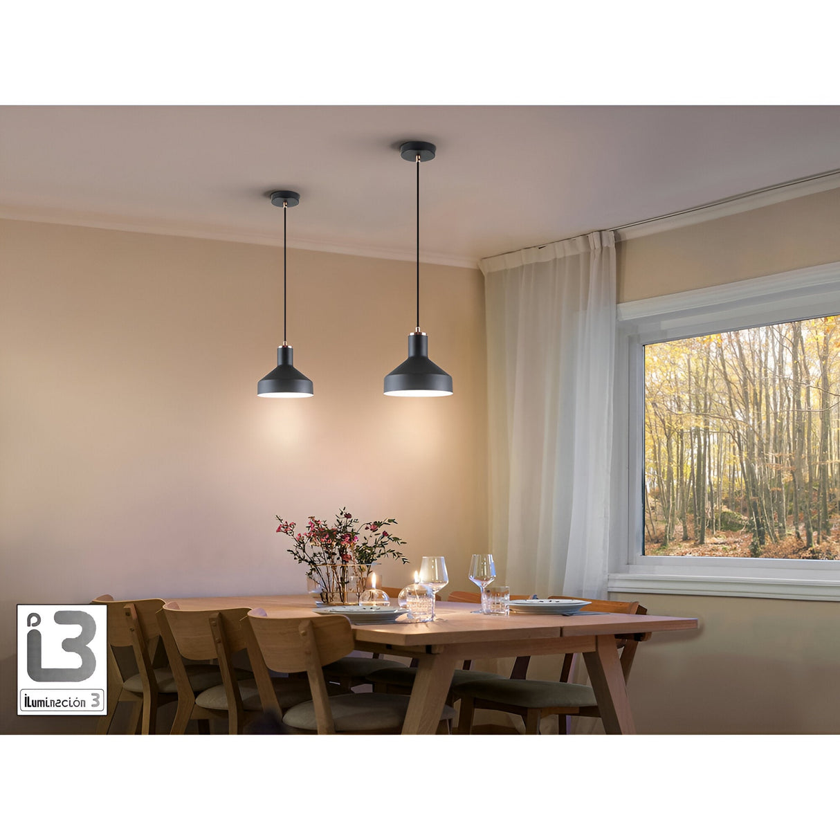 Irias 1 Light Pendant - Matte Black