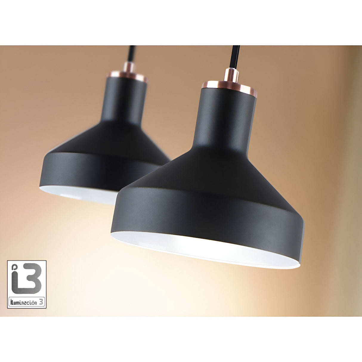 Irias 1 Light Pendant - Matte Black