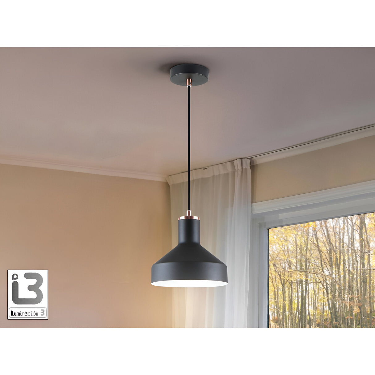 Irias 1 Light Pendant - Matte Black