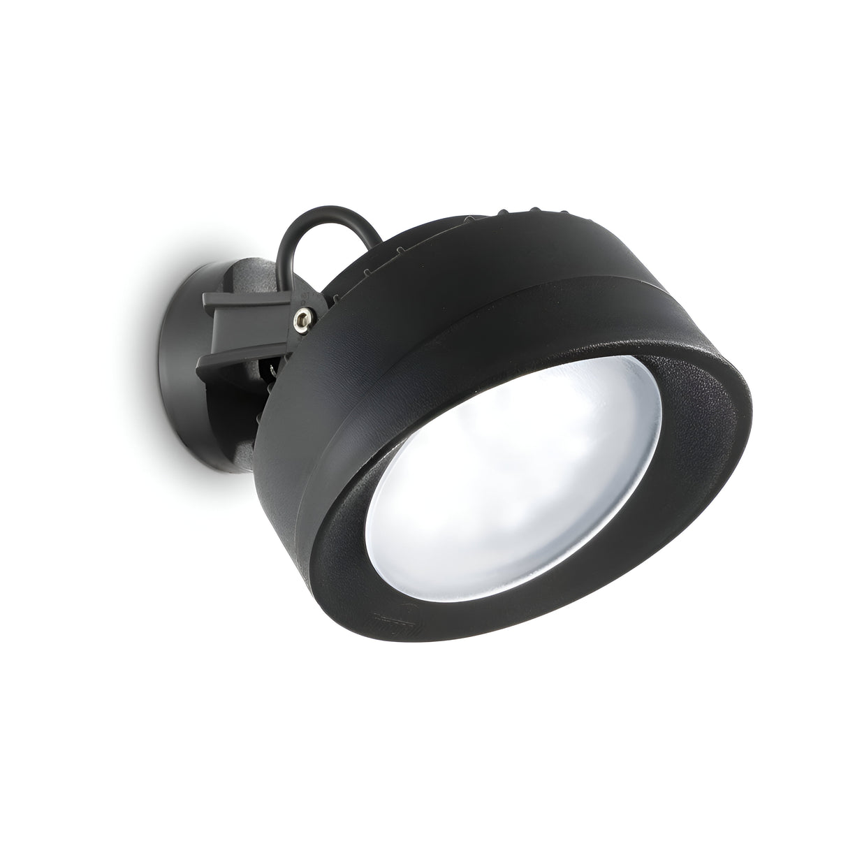 The Point-1 Outdoor Wall Single Spotlight - Black, with corrosion-resistant casing, mounts on a swivel bracket. It has a frosted lens, directional diffuser, and attaches to a circular base for ceiling or wall installation outdoors.