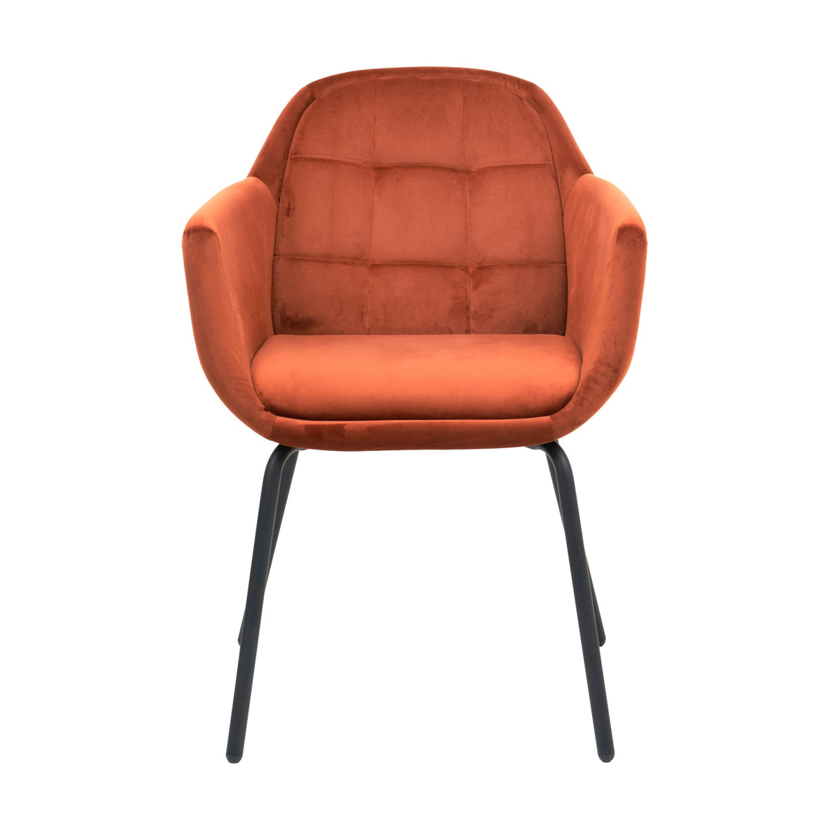 Alba Cinnamon Velvet & Black Metal Carver Dining Chair with quilted backrest, curved armrests, and slim tapered black metal legs, shown on a plain white background.