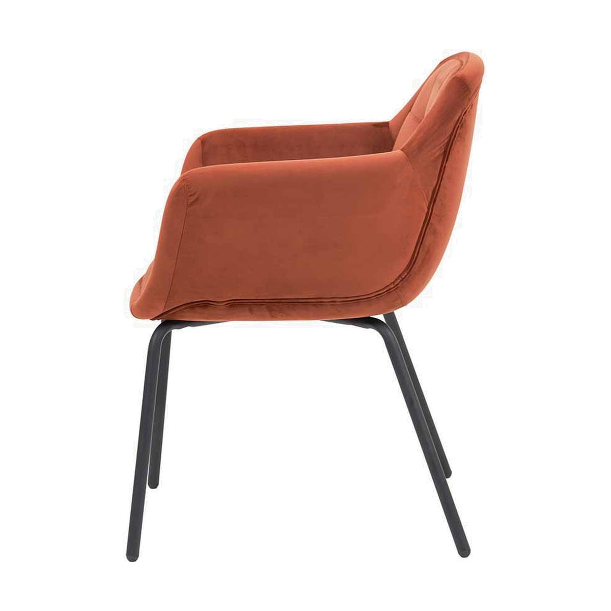 Alba Cinnamon Velvet & Black Metal Carver Dining Chair, side view showing curved cinnamon velvet seat with armrests and black metal legs, on a plain white background.