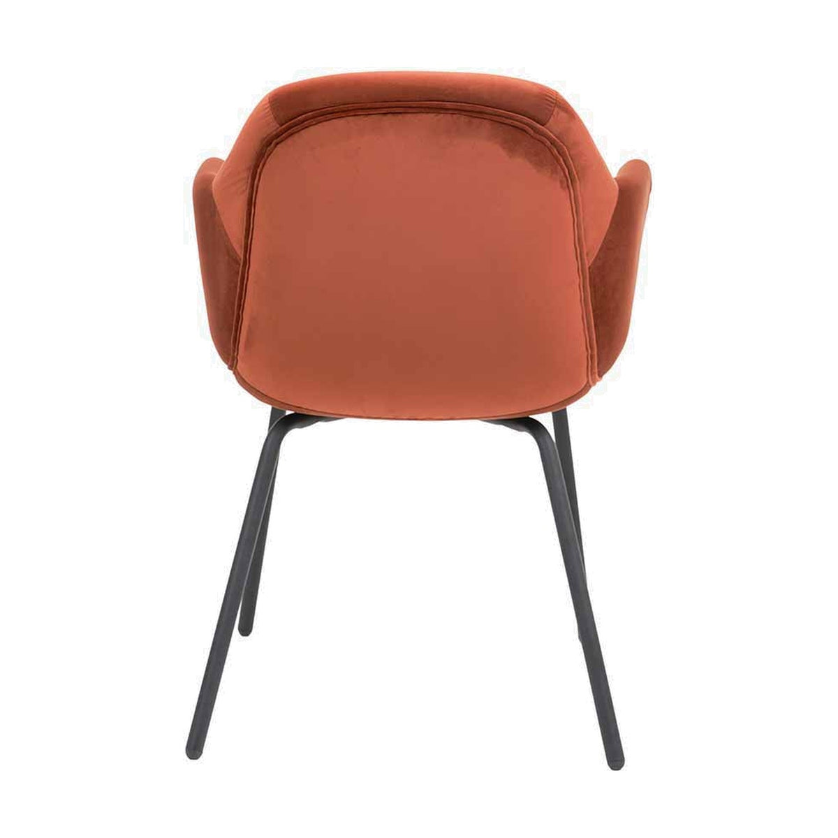 Rear view of the Alba Cinnamon Velvet & Black Metal Carver Dining Chair, showing curved velvet backrest, armrests, and angled black metal legs on a plain white background.