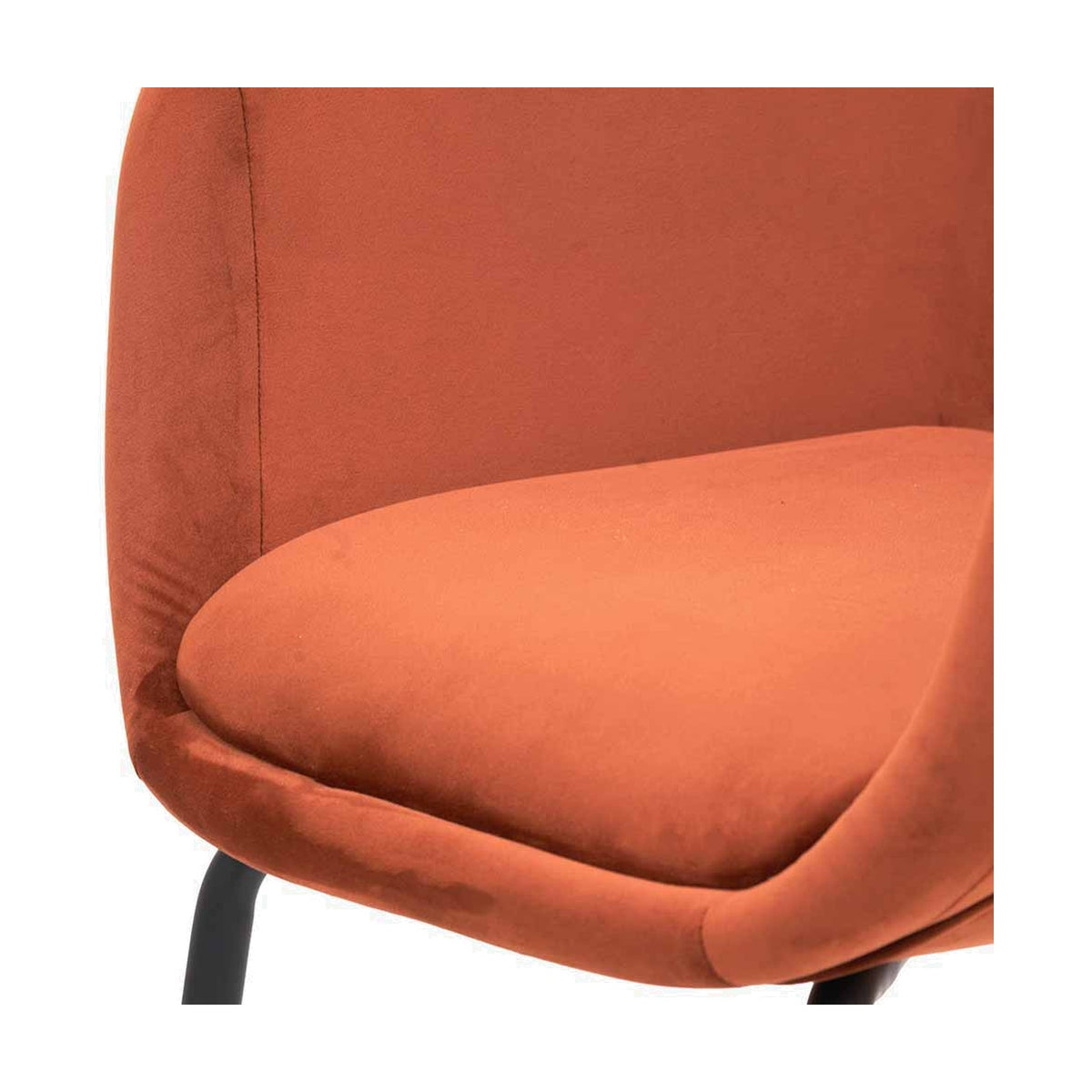 Close-up of the Alba Cinnamon Velvet & Black Metal Carver Dining Chair, showing curved velvet seat and backrest with black metal leg detail.