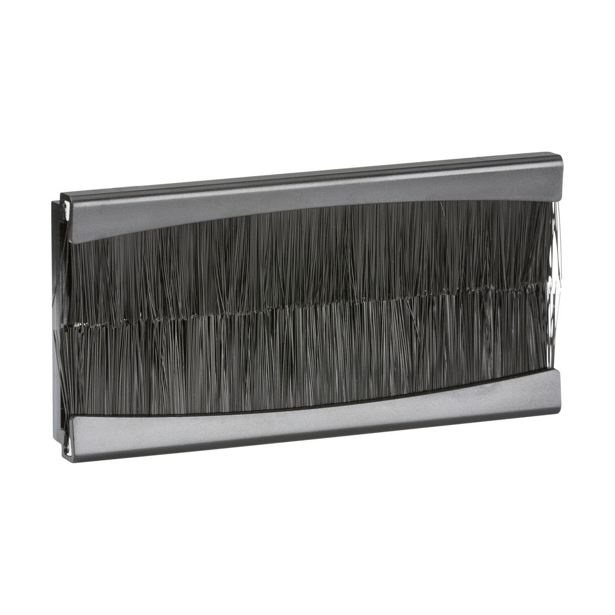Introducing the Brush Module 100 X 50mm - Black: a stylish metal wall-mounted brush holder featuring black bristles with a rectangular design, perfect for efficient cable management. Its Euro-module brush construction captures debris while preserving a minimalist look.
