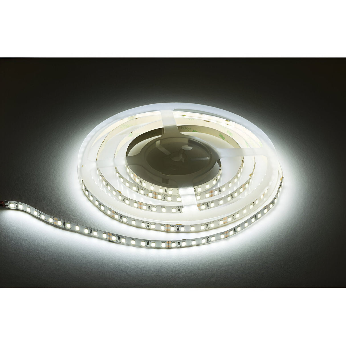 24V High Output LED Flex 5m - Daylight White