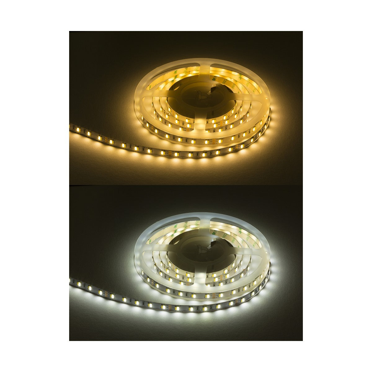 Two spools of the 24V CCT LED Flex (5 Metres) are showcased. The top spool produces a warm, yellowish glow, while the bottom emits a cool, white light. Both are coiled in circular shapes and include a 24V constant voltage driver for optimal performance and adjustable color temperature.