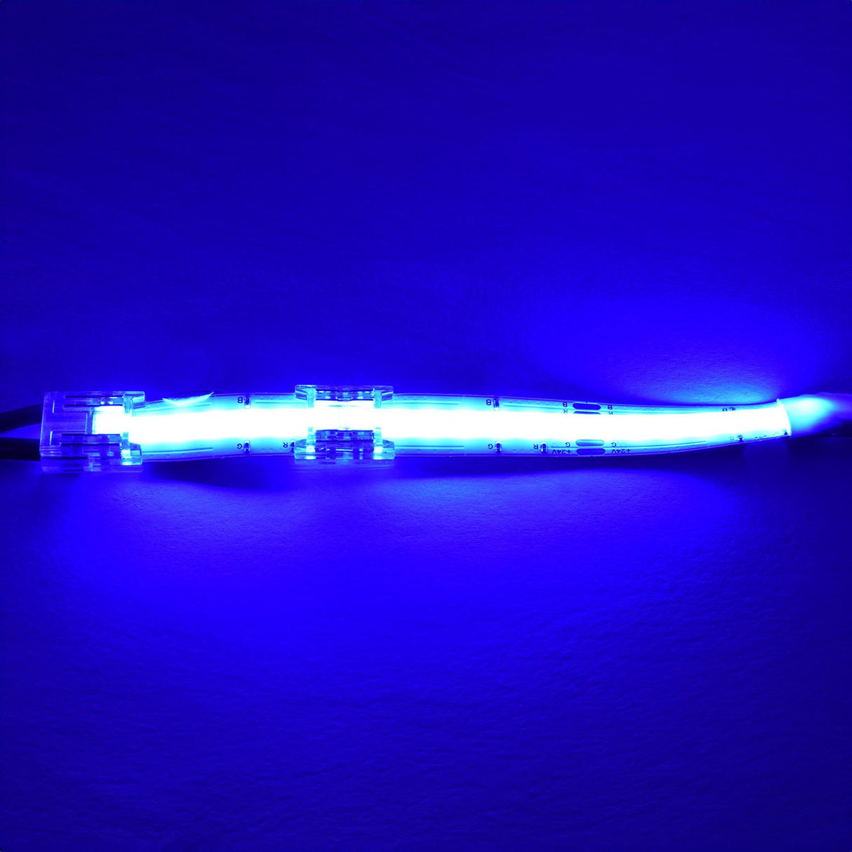 LYYT RGB COB LED strip connectors joining two 10mm strip sections, illuminated in blue to show the continuous glow through the clear housings.