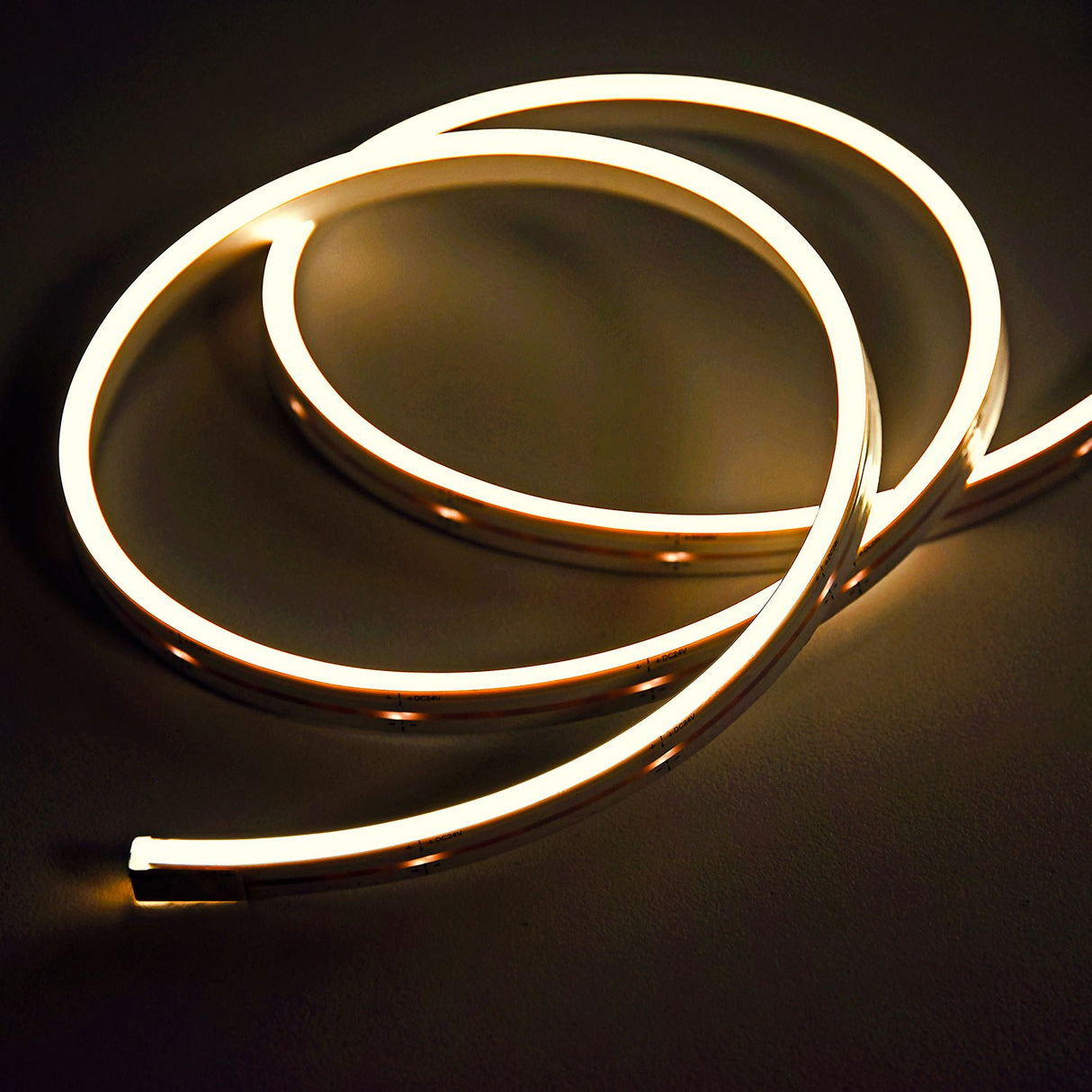 Coiled LYYT SideBend WW 30m warm white LED tape by AVSL, illuminated in a soft 2700K glow with visible DC24V markings along the frosted flexible strip.