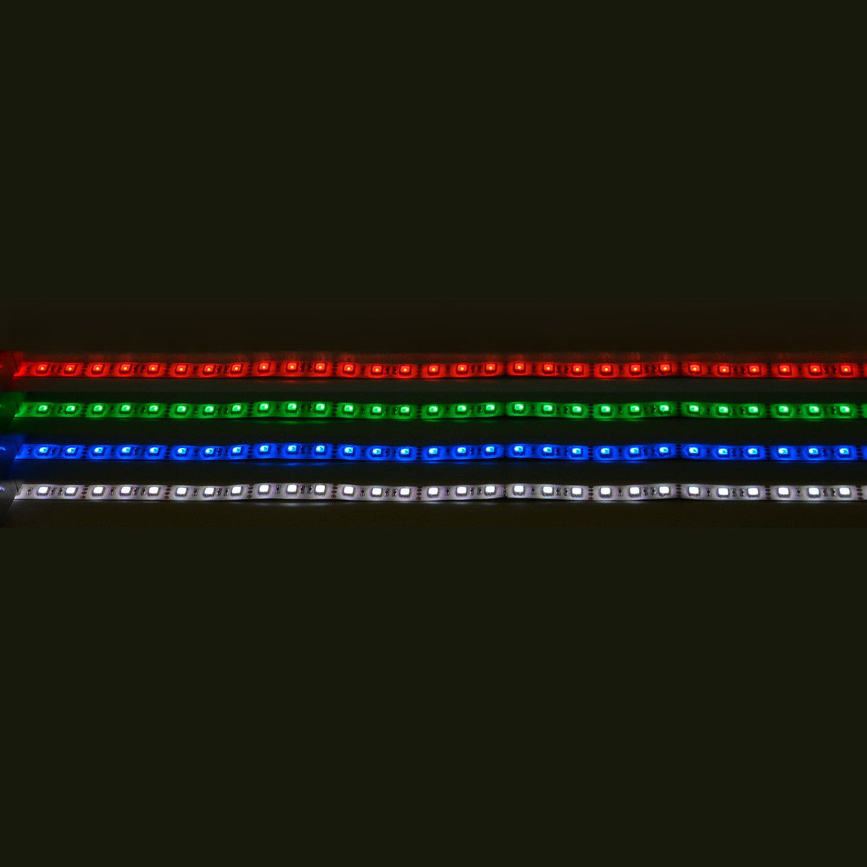Four horizontal rows of the LYYT 24V RGB LED Strip Light illuminate the dark background. The strips, colored red, green, blue, and white from top to bottom, are IP65 rated for durability. Each strip features evenly spaced small rectangular light units that elegantly glow with a 24Vdc supply and includes 60 LEDs per meter.