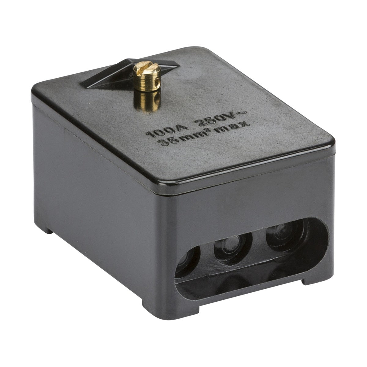 The 100A 1 x 5-Way (Single Pole) Service Connector Block features a black electrical junction box design with three cable entry holes and a visible screw on top, equipped with brass terminals for secure connections. It is marked 100A - 250V, supports up to 35mm maximum, and is EN 60670 certified for quality assurance.