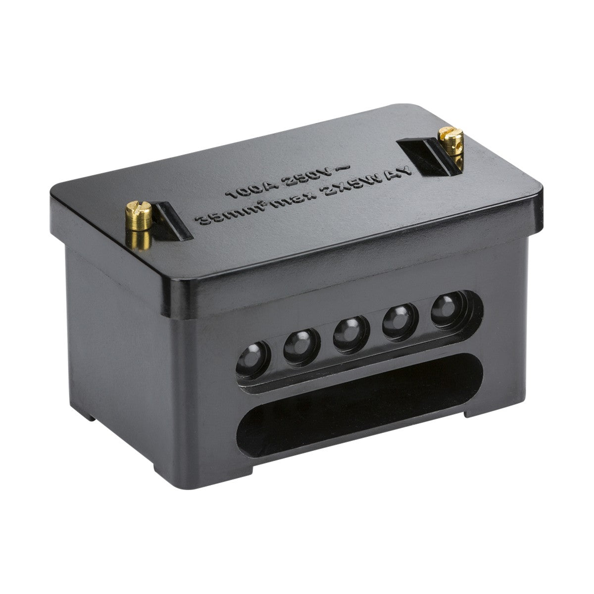 A black rectangular guitar humbucker pickup featuring exposed coil poles, two brass screw adjustments on top, six heavy-duty pole pieces, and brass terminals with a shiny, smooth surface.