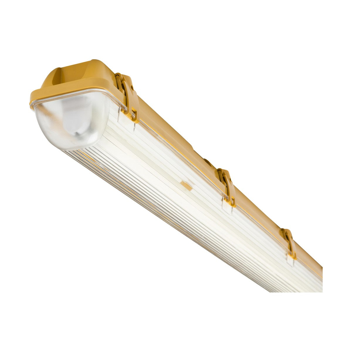 110V IP65 1x58W 5ft Single HF Non-Corrosive Fluorescent Fitting