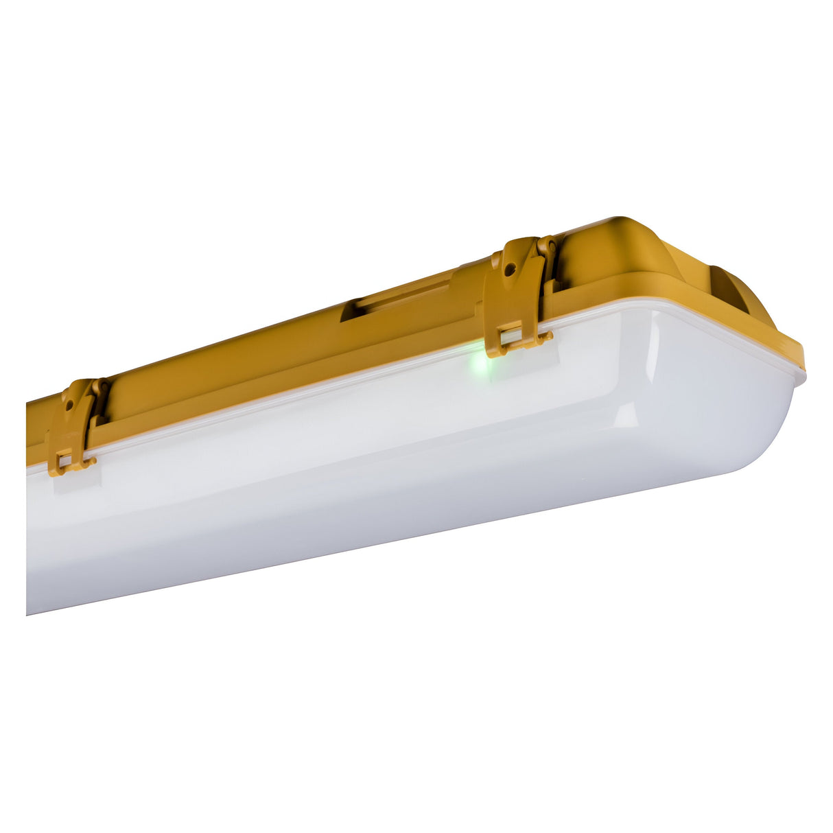 110V IP65 2ft 22W Twin LED Non-Corrosive Emergency - 4000K