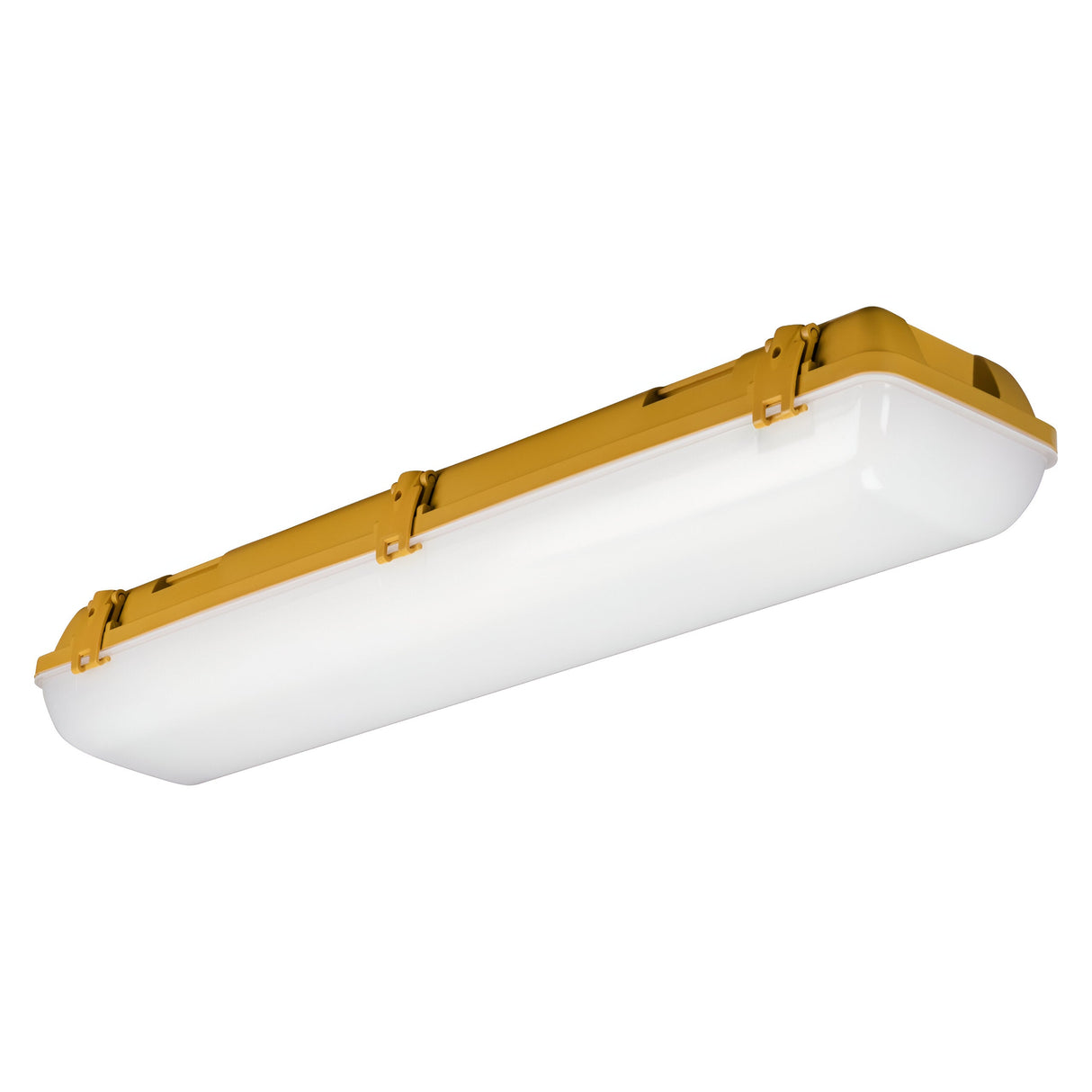 110V IP65 2ft 22W Twin LED Non-Corrosive