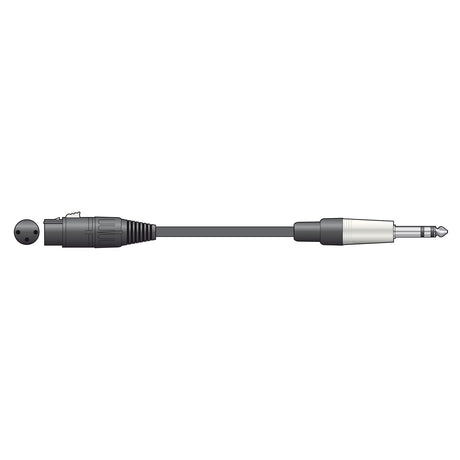 The image showcases the Citronic Classic Audio Lead, featuring a black female XLR connector on the left and a 1/4 inch TRS jack plug with a metallic finish on the right.