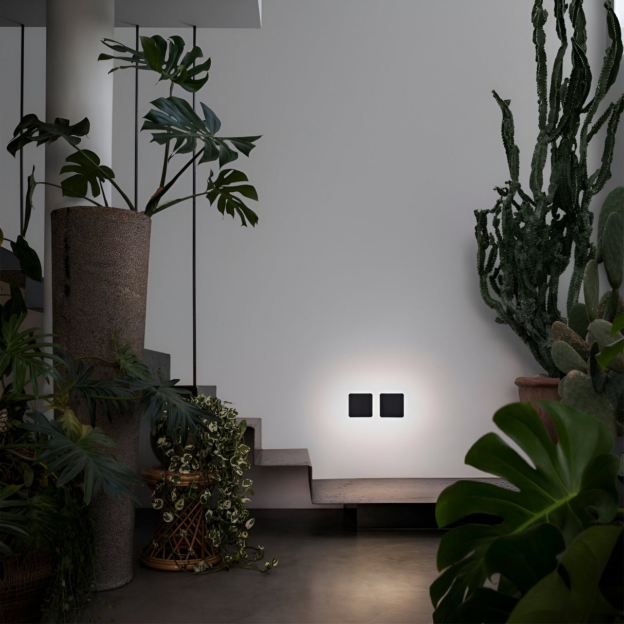 A contemporary, minimalist indoor setting with stairs showcases energy-saving LED ceiling fixtures and an assortment of potted greenery, such as ferns and a sizable cactus. Illuminating the wall are two NovaLite LED Square Ceiling & Wall Lights, 11W with a warm 3000K glow in sleek black, each measuring 20cm. Together, they craft an inviting ambiance.