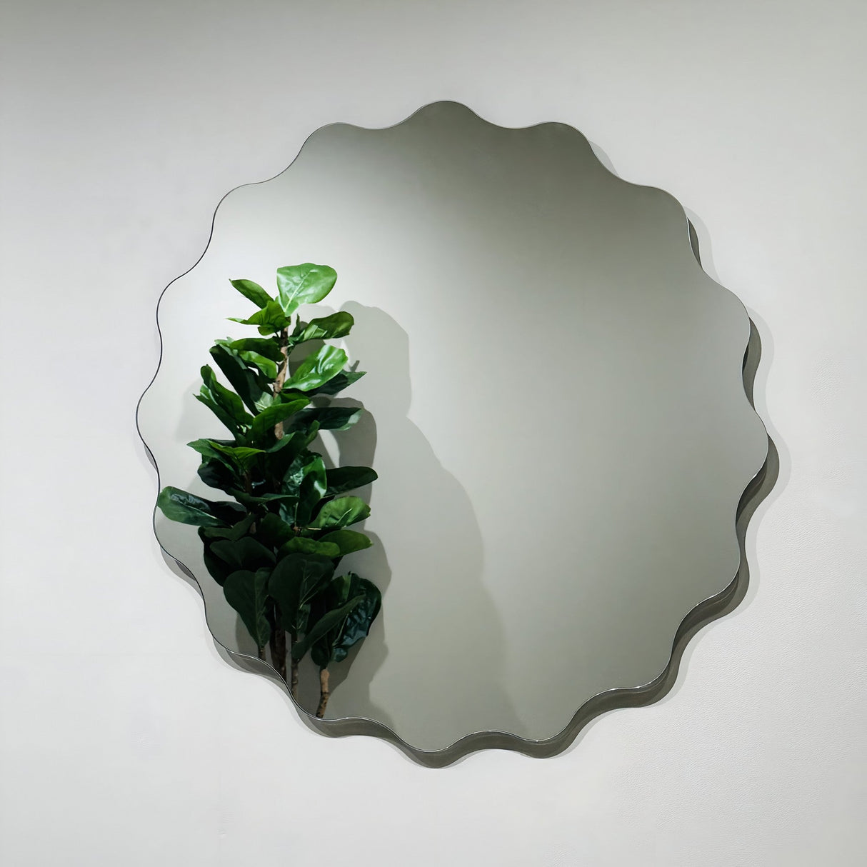 The Lumeo Circle Wall Mirror - Clear, featuring a scalloped edge and frameless finish, reflects a green leafy plant against a plain white wall.
