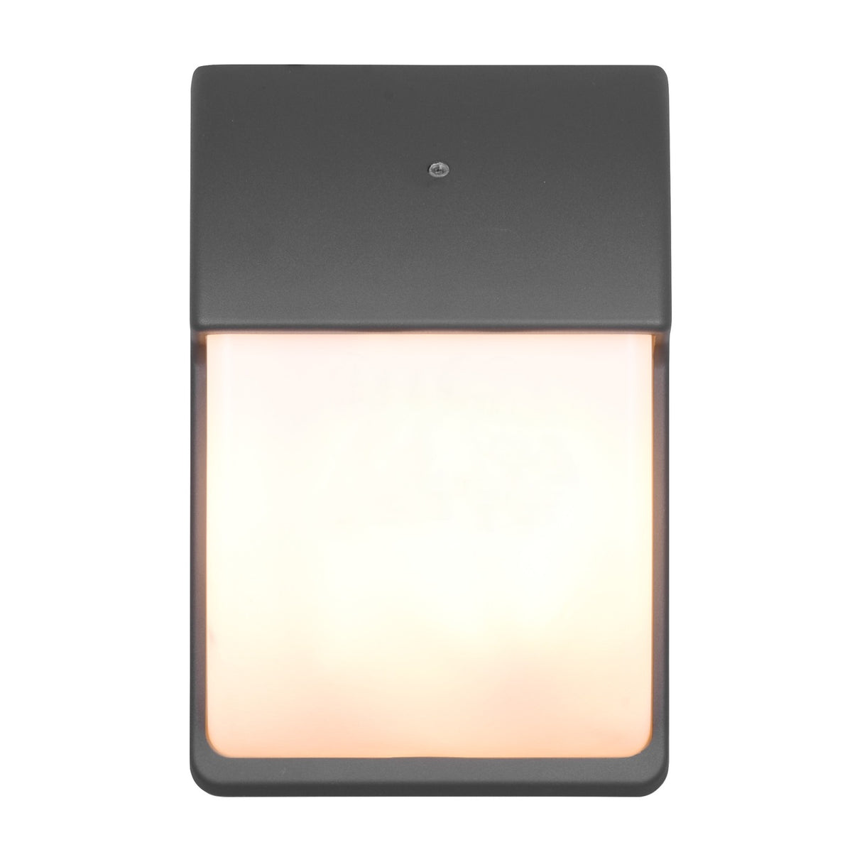 Mersey 2 Light Glass Outdoor Wall Light – Anthracite