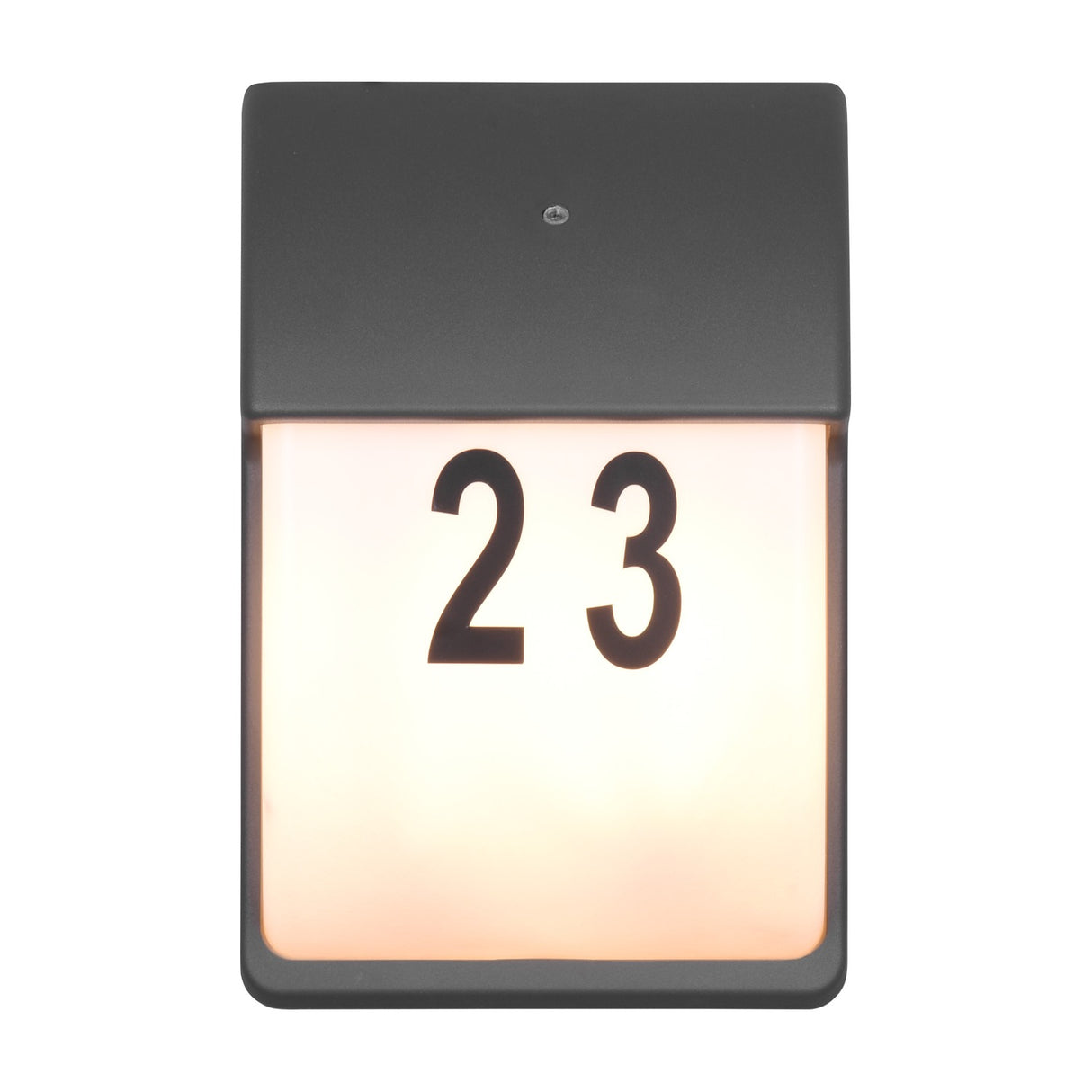 Mersey 2 Light Glass Outdoor Wall Light – Anthracite