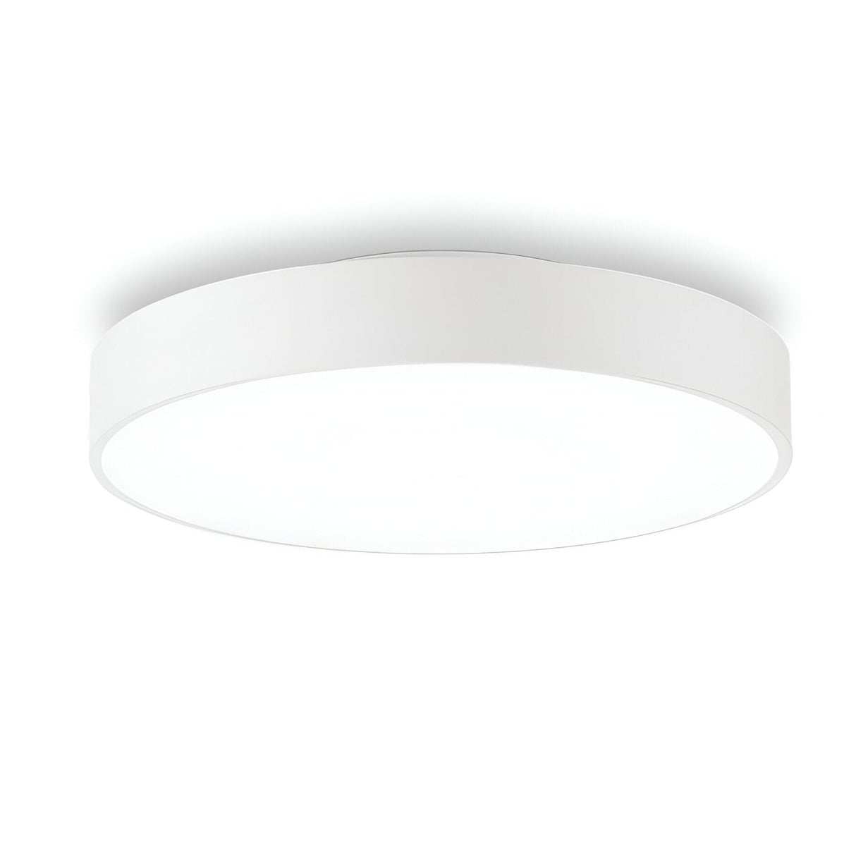 Experience the Bright LED Flush Ceiling Light - 4000K, with its minimalist white circular design. Boasting a sleek, modern aluminum construction, this ceiling light features a flat profile and smooth finish. It's an energy-efficient solution that seamlessly blends into any room with a subtle and contemporary style againstitutes backdrop.