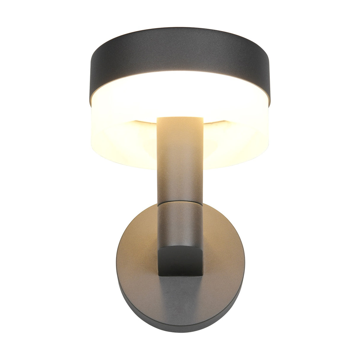Mackenzie LED Glass Outdoor Wall Light – Anthracite