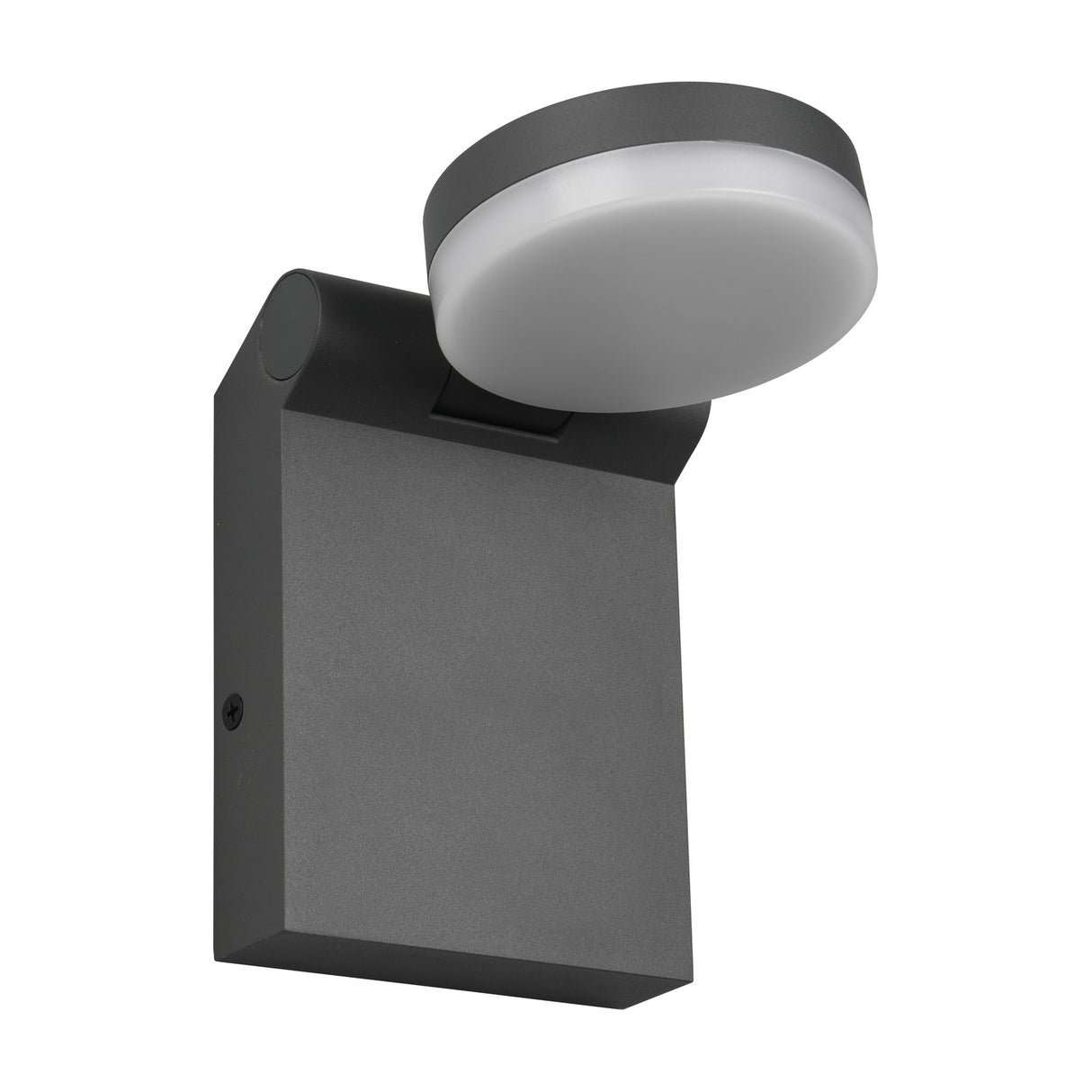 Adour LED Glass Outdoor Wall Light – Anthracite