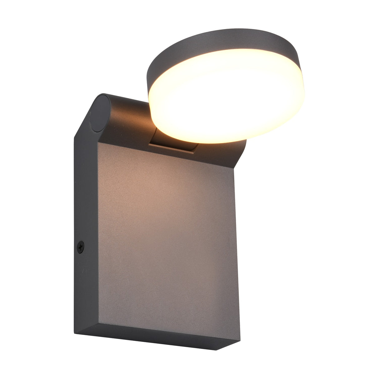 Adour LED Glass Outdoor Wall Light – Anthracite