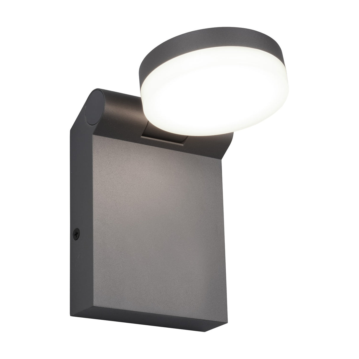 Adour LED Glass Outdoor Wall Light – Anthracite
