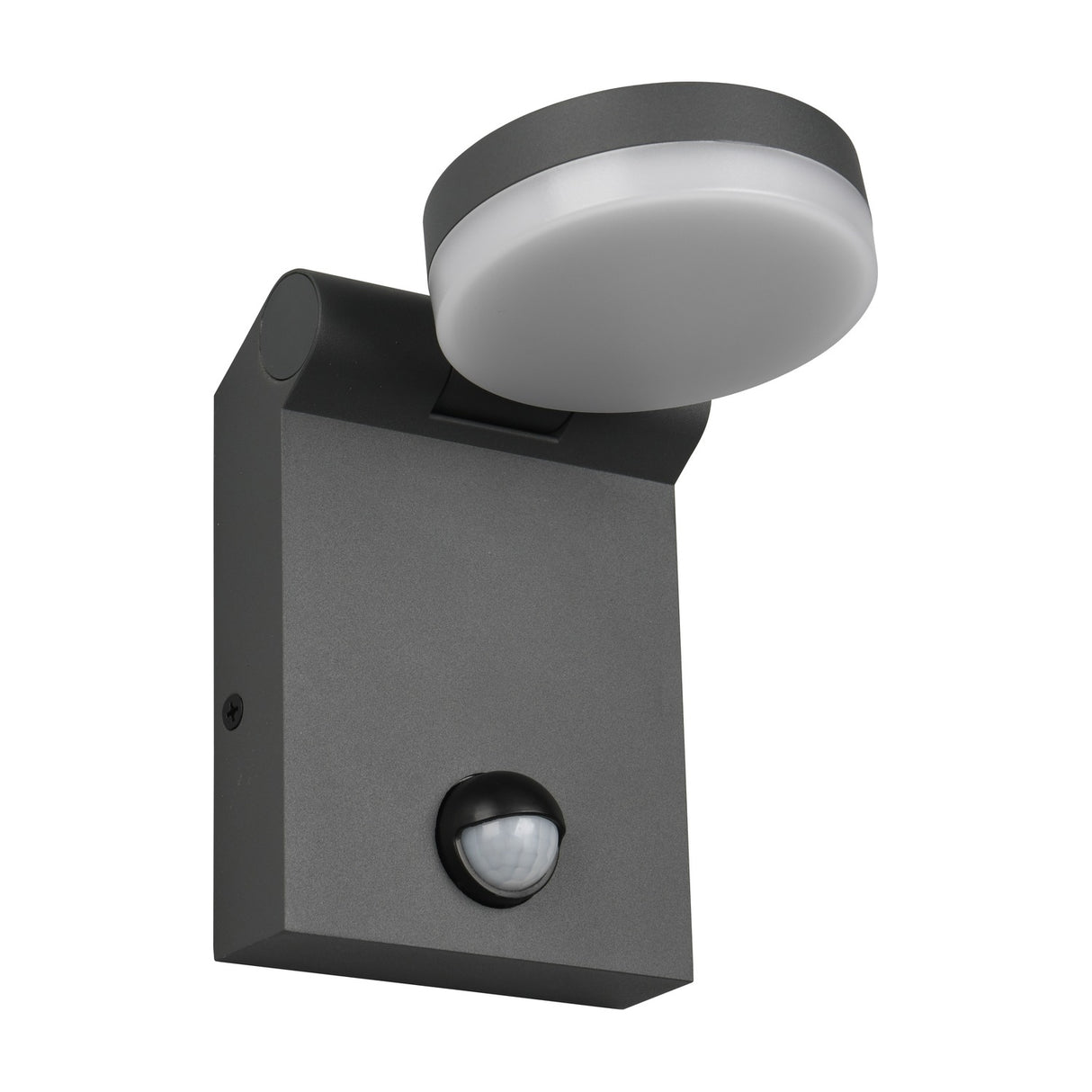 Adour LED Globe PIR Outdoor Wall Light – Anthracite