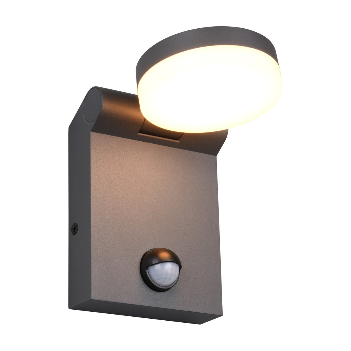 Adour LED Globe PIR Outdoor Wall Light – Anthracite