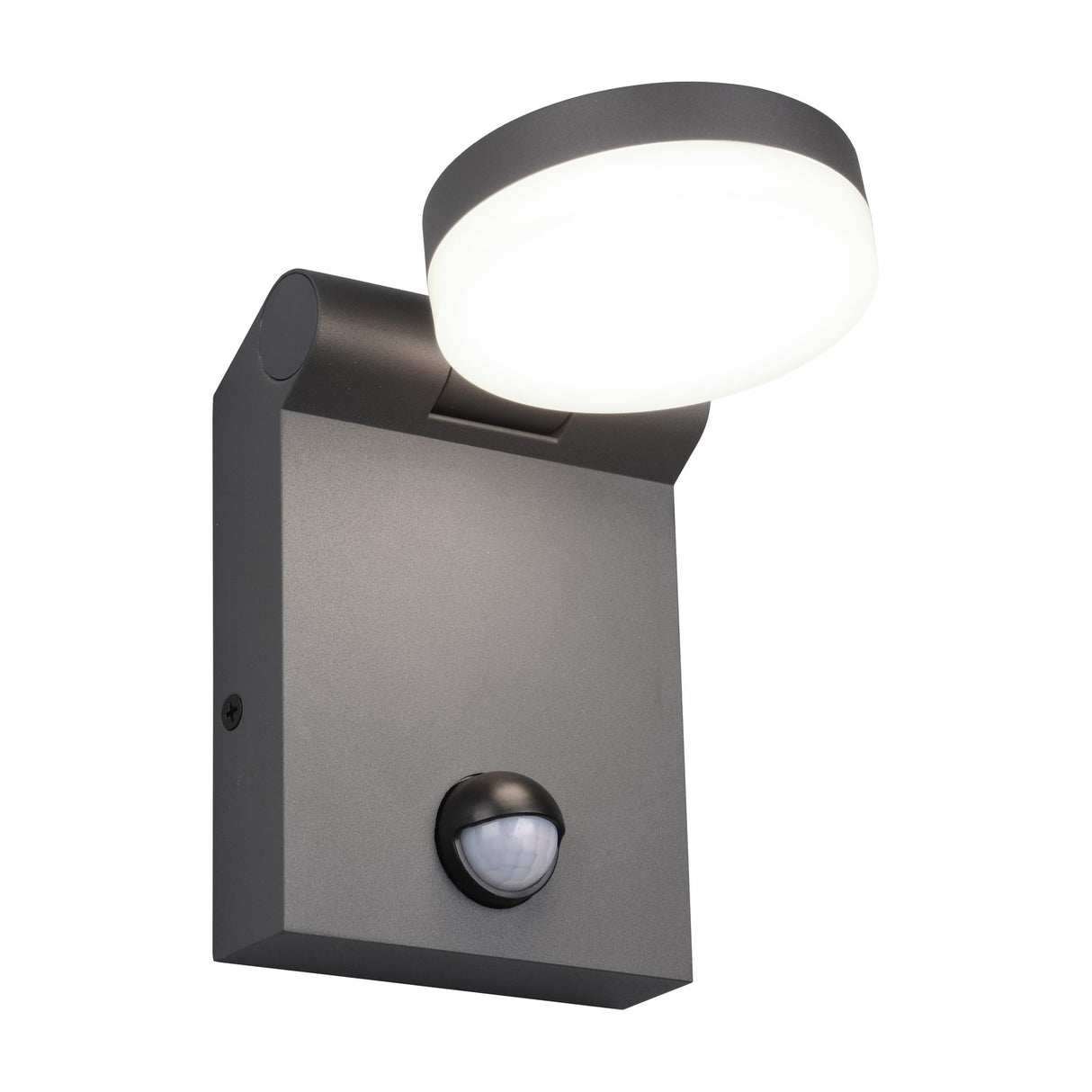Adour LED Globe PIR Outdoor Wall Light – Anthracite