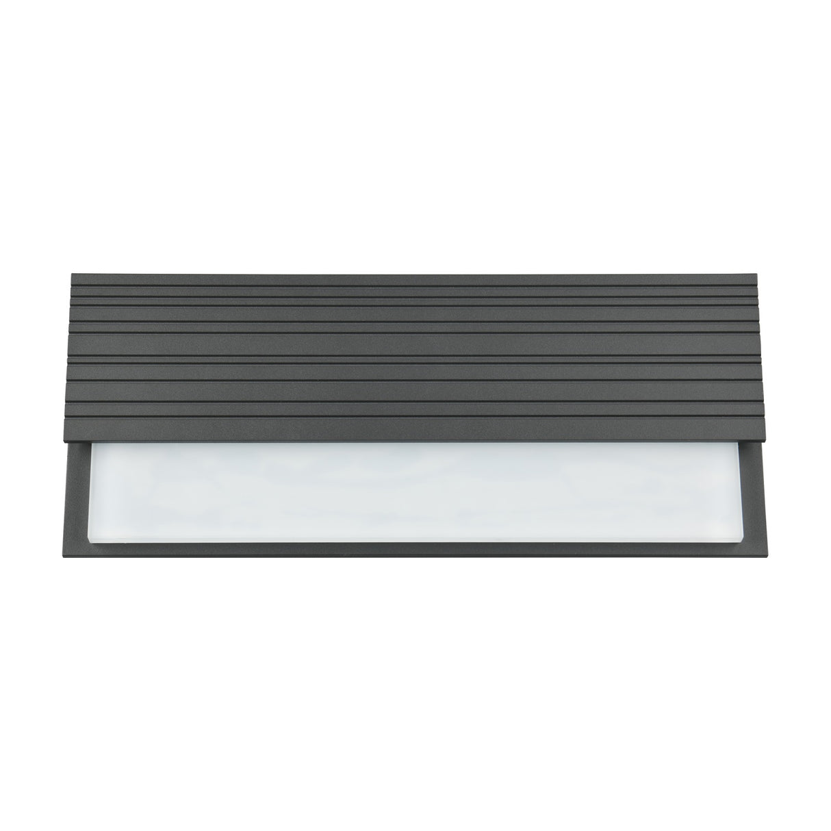 Mariza LED Glass Outdoor Wall Light – Anthracite