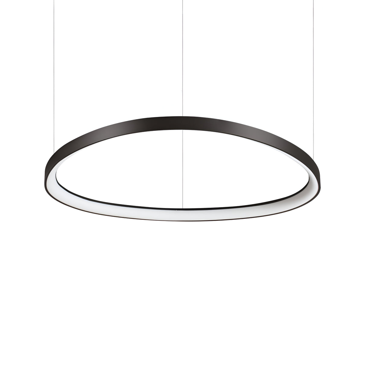 The Zephra LED Light Suspension 59W 3000K - Black, 81cm is a contemporary circular pendant fixture featuring a thin black metal frame and is suspended by two wires. Designed for ambient illumination, it elevates any space with its elegant design and gentle glow, creating a striking contrast against a plain white background.
