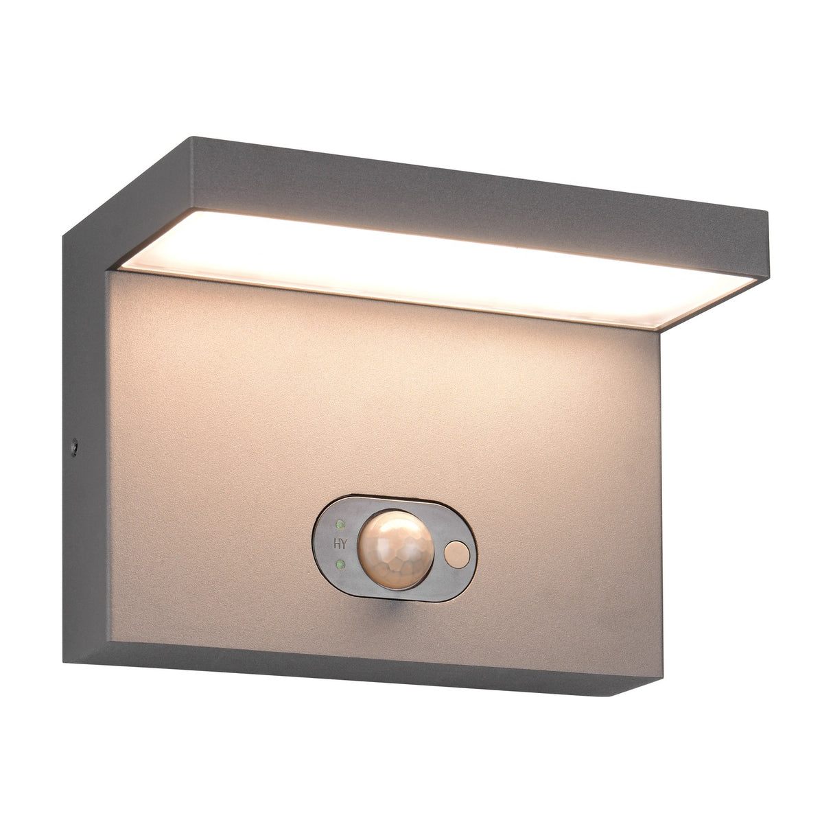 Blyde LED Solar PIR Outdoor Wall Light – Anthracite