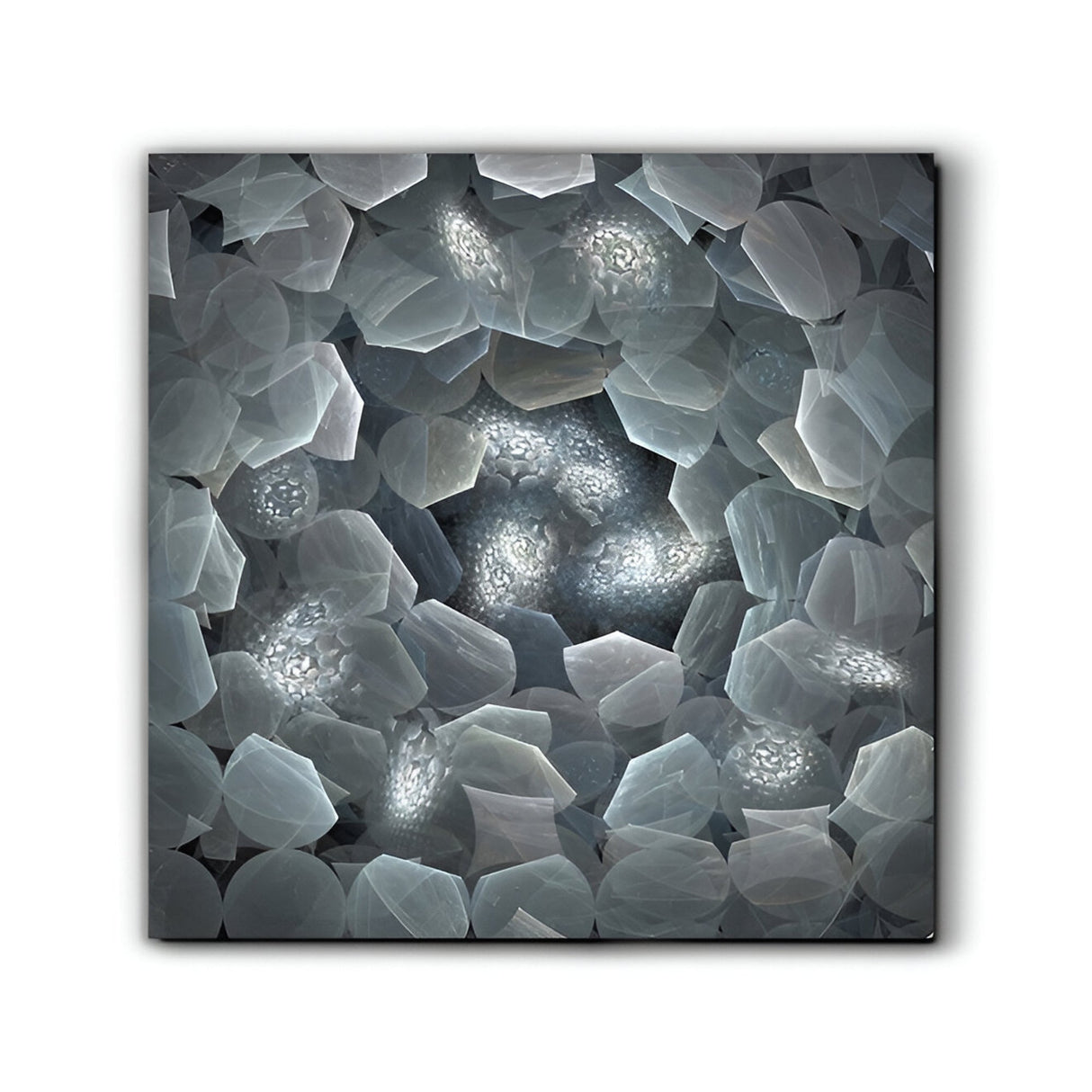 Polaris Leaf Form Photography Print - 120x120cm