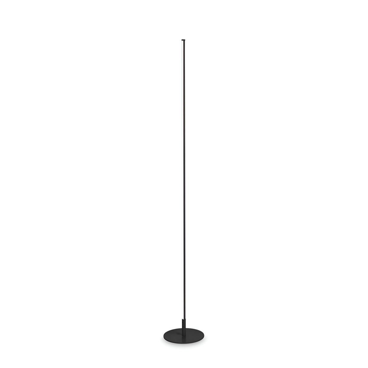 The Wave LED Floor Lamp 16W 3000K - Black, with its sleek, minimalist design featuring a thin pole and round base, stands upright against a plain white background, embodying modern lighting trends.