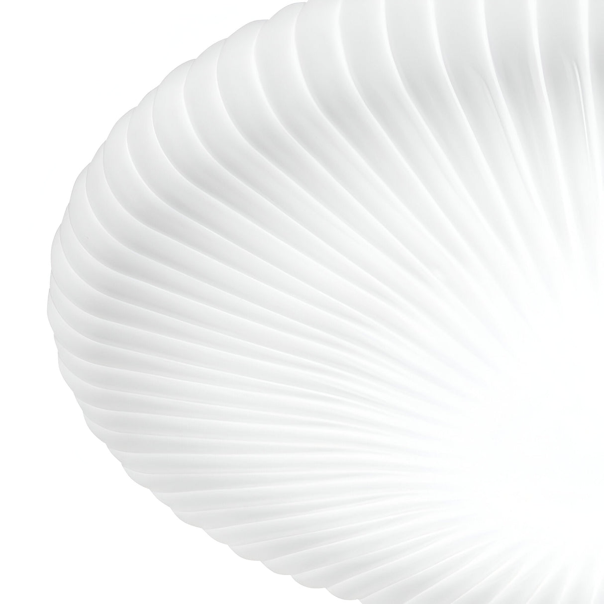 Close-up of a white, ribbed, shell-like structure with a smooth and undulating texture. The image captures intricate details and subtle shadows caused by the surface's curves and ridges, reminiscent of modern lighting designs like the Eclipse LED Ceiling & Wall Light 21W 3000K - White, offering an energy-efficient glow.