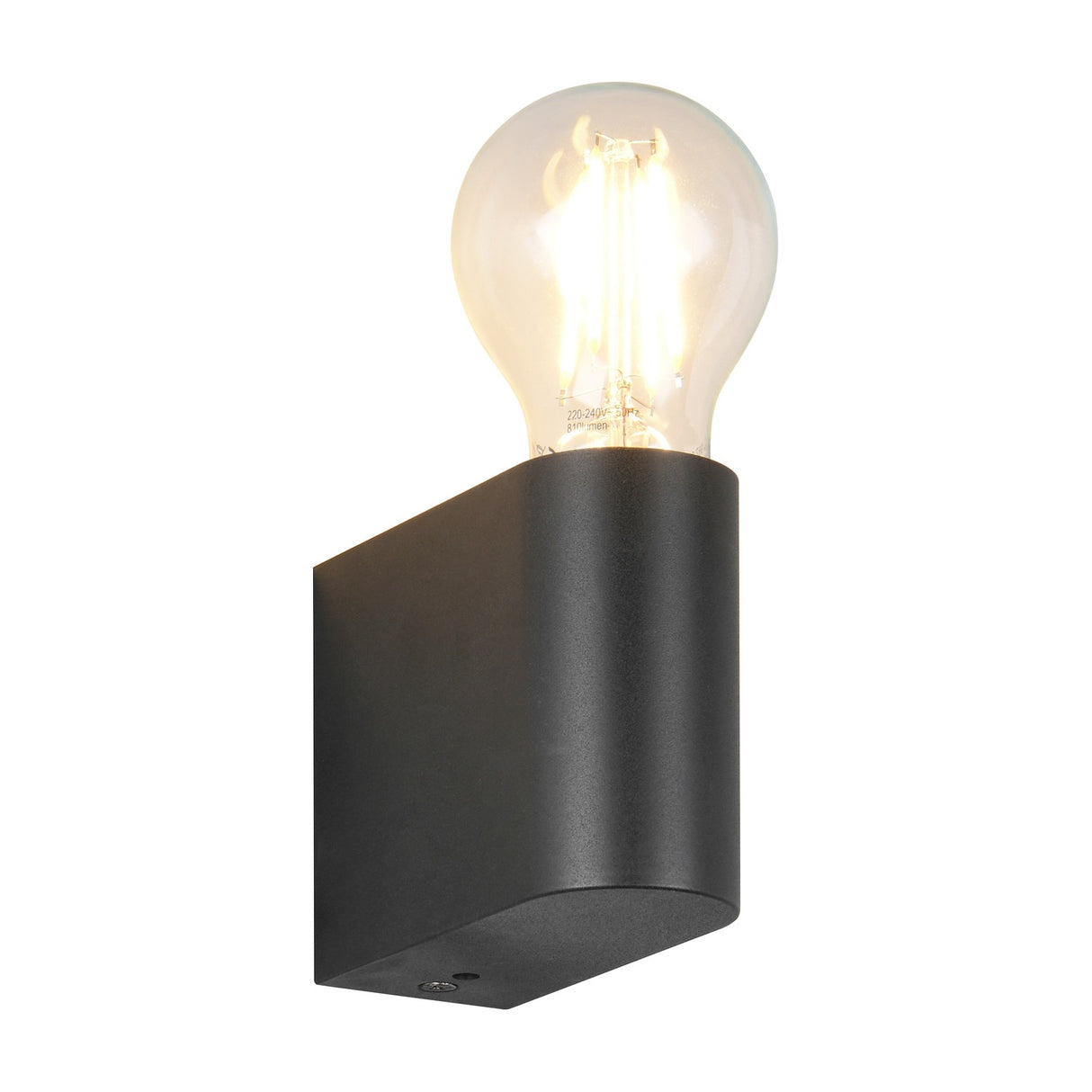 Pratella Glass Outdoor Wall Light – Matt Black