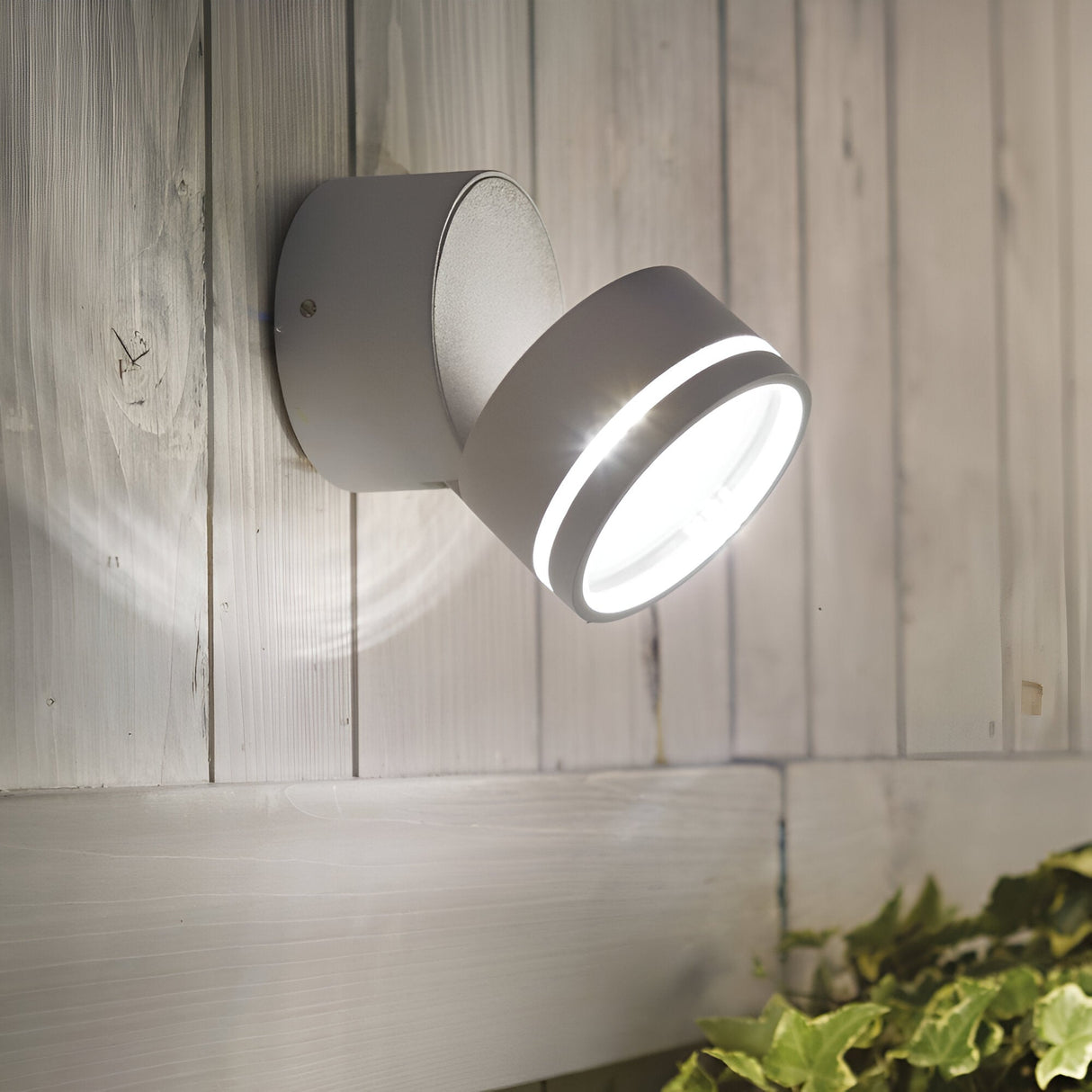 The Arcane Round Outdoor LED Single Spotlight, finished in powder-coated aluminium and mounted on a white wooden wall, emits energy-efficient illumination. Green foliage at the bottom of the image enhances the natural aesthetic.