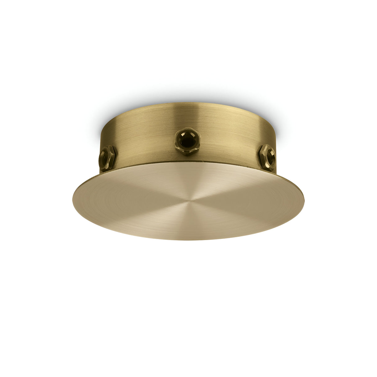 The Glacia 6 Light Magnetic Ceiling Rose - Brass is a ceiling light fixture that boasts a round matte finish and minimalist design. It includes a complementary brass ceiling rose, with a flat, circular base attaching to a cylindrical metal mount. Visible screws highlight its modern and elegant appearance.