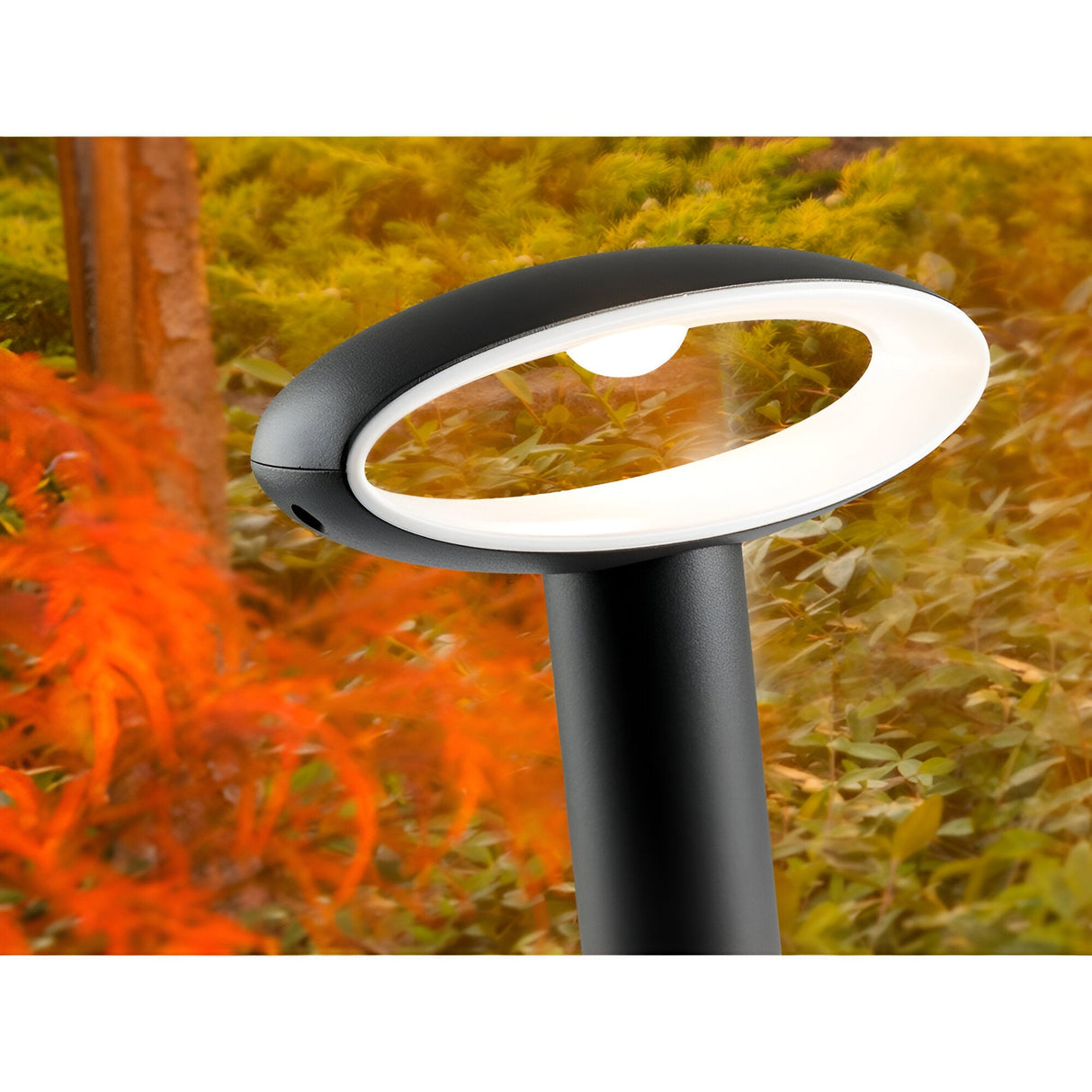 Vilo LED Bollard Light 50cm - Black